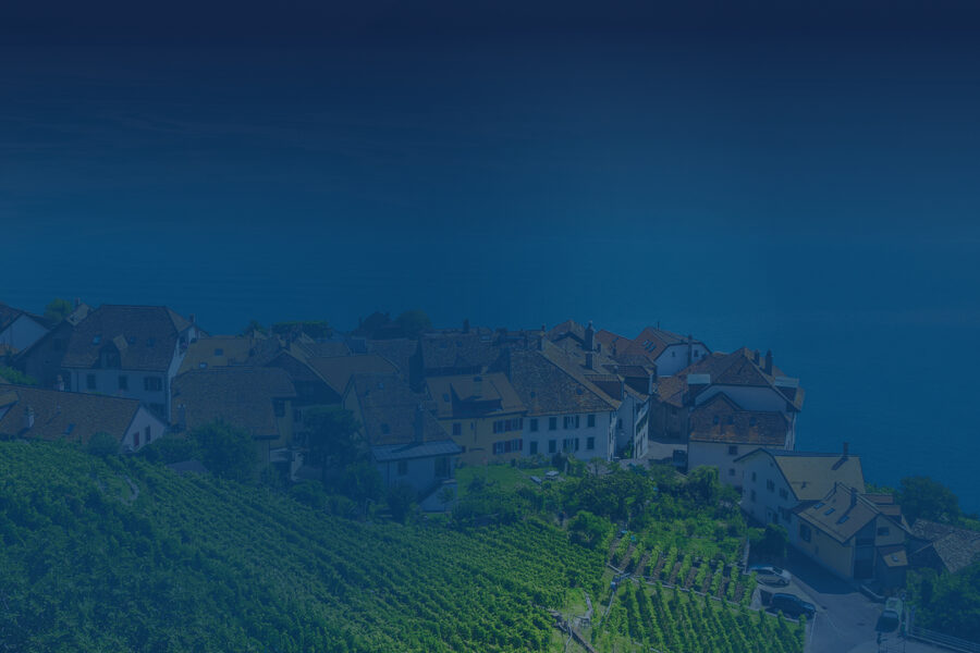 Гала-вечеринка <br />
Elite Summit 2025